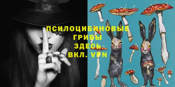 ГАЛЛЮЦИНОГЕННЫЕ ГРИБЫ Анжеро-Судженск