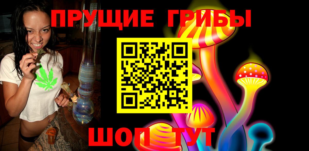 Псилоцибиновые грибы мицелий  Анжеро-Судженск 